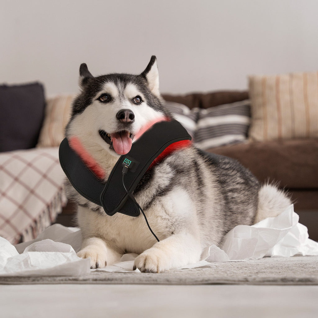 Megelin Red Light Therapy Belt for Neck & Shoulder